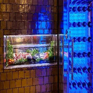 Tigotan Lovers & Friends Playa De Americas - Adults Only 호텔 플라야데라스아메리카스